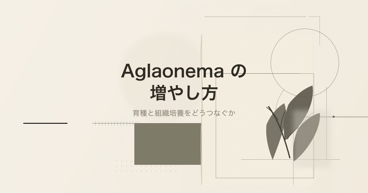 Aglaonema の増殖法を扱う論文記事のサムネイル