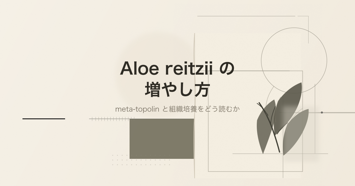 Aloe reitzii の組織培養を扱う論文記事のサムネイル