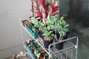 muji-rack-veranda-01