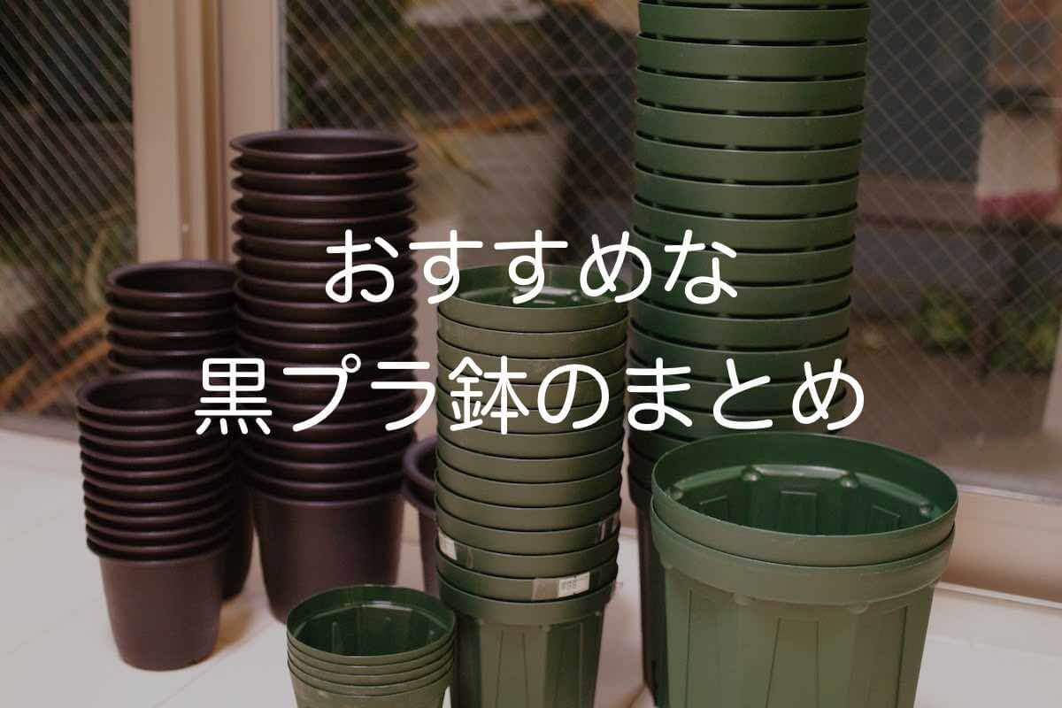 驚きの値段で プレステラ90黒50個 105黒30個 多肉植物 プラ鉢