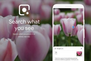 google-lens-plants-00