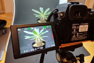 photo-box-09