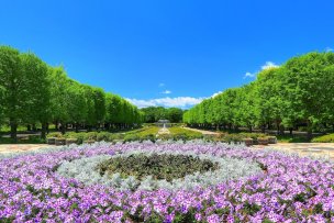 昭和記念公園 photo by くろふね