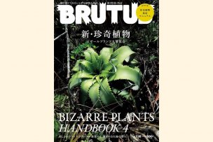 brutus-2019-07-15