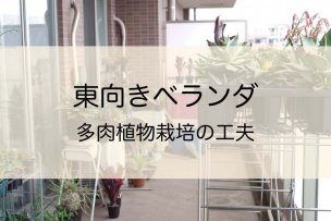 east-balcony-tips-05