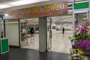 サンシャインらん展(2020)