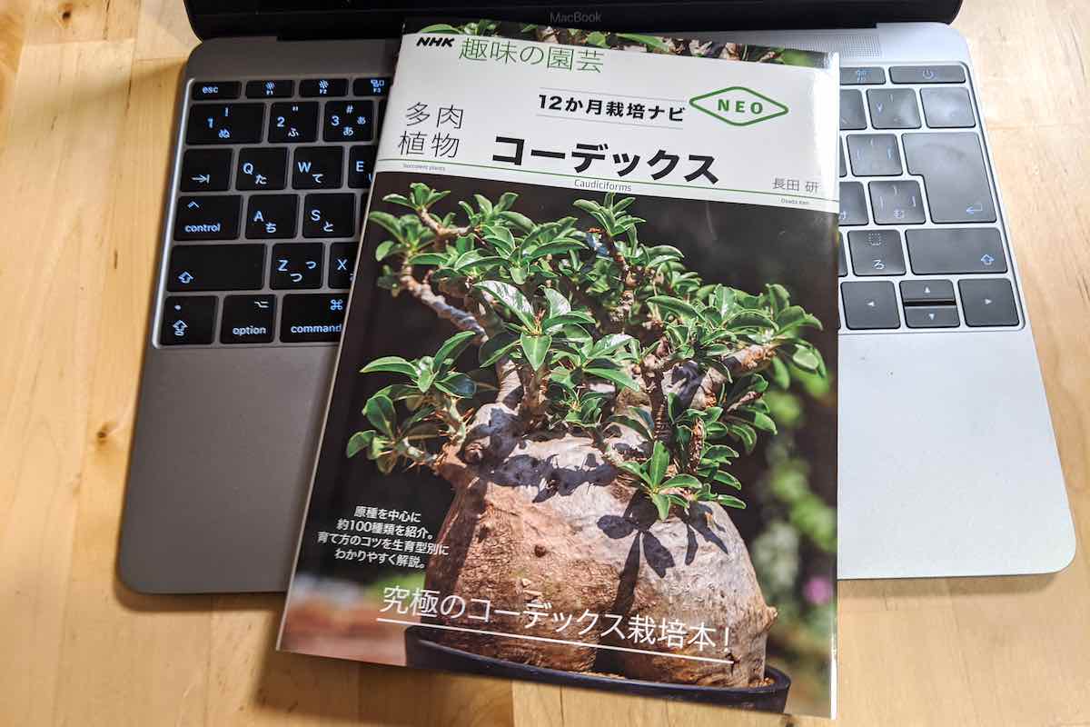 趣味の園芸　12か月栽培ナビNEO「コーデックス」