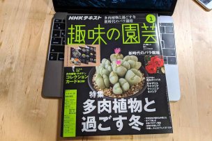 趣味の園芸2020年1月号「多肉植物と過ごす冬」特集