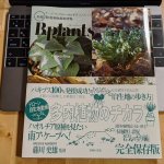 ビザールプランツ 冬型 珍奇植物最新情報