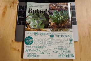 ビザールプランツ 冬型 珍奇植物最新情報