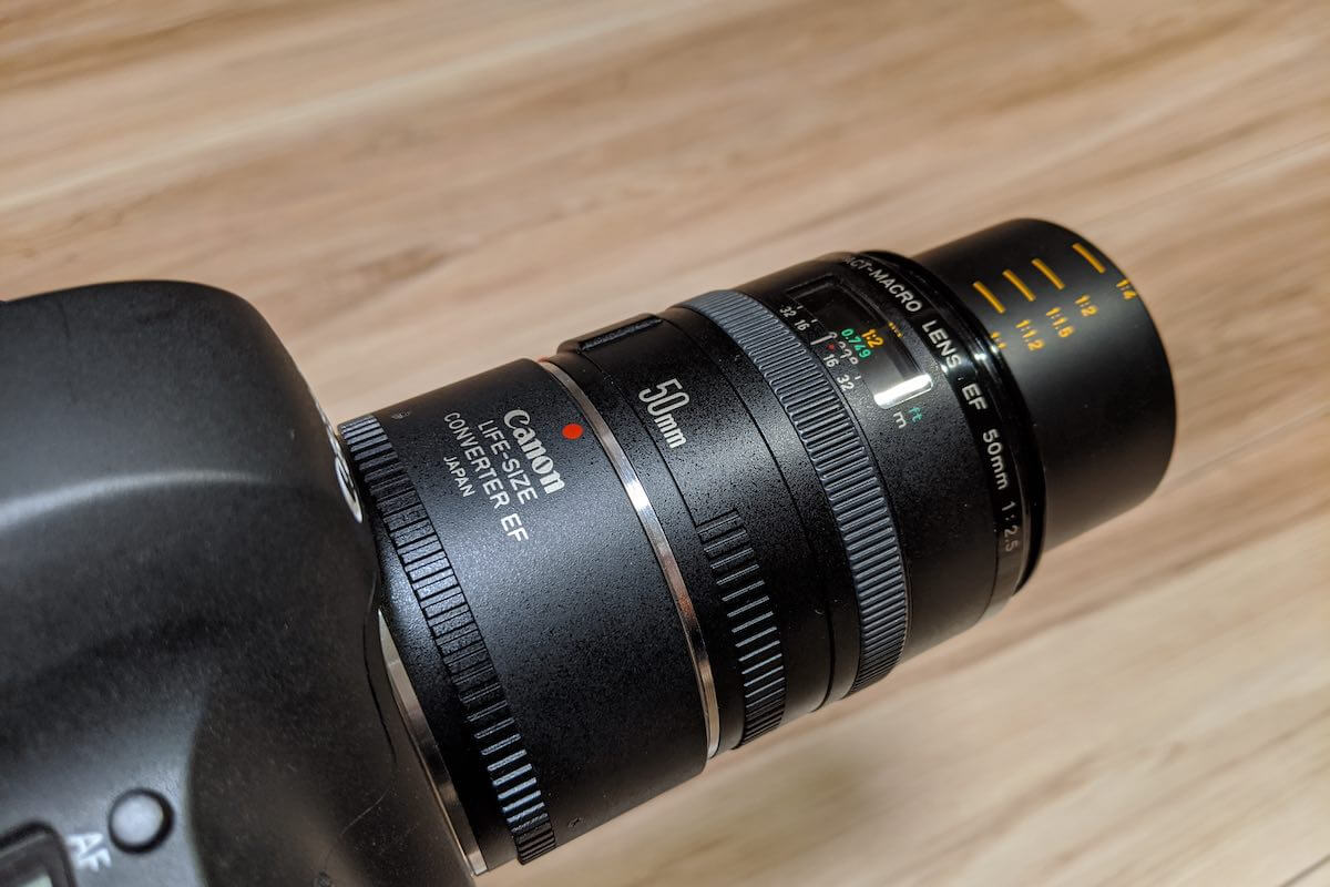 EF50mm F2.5 コンパクトマクロレンズ(単焦点) - レンズ(単焦点)