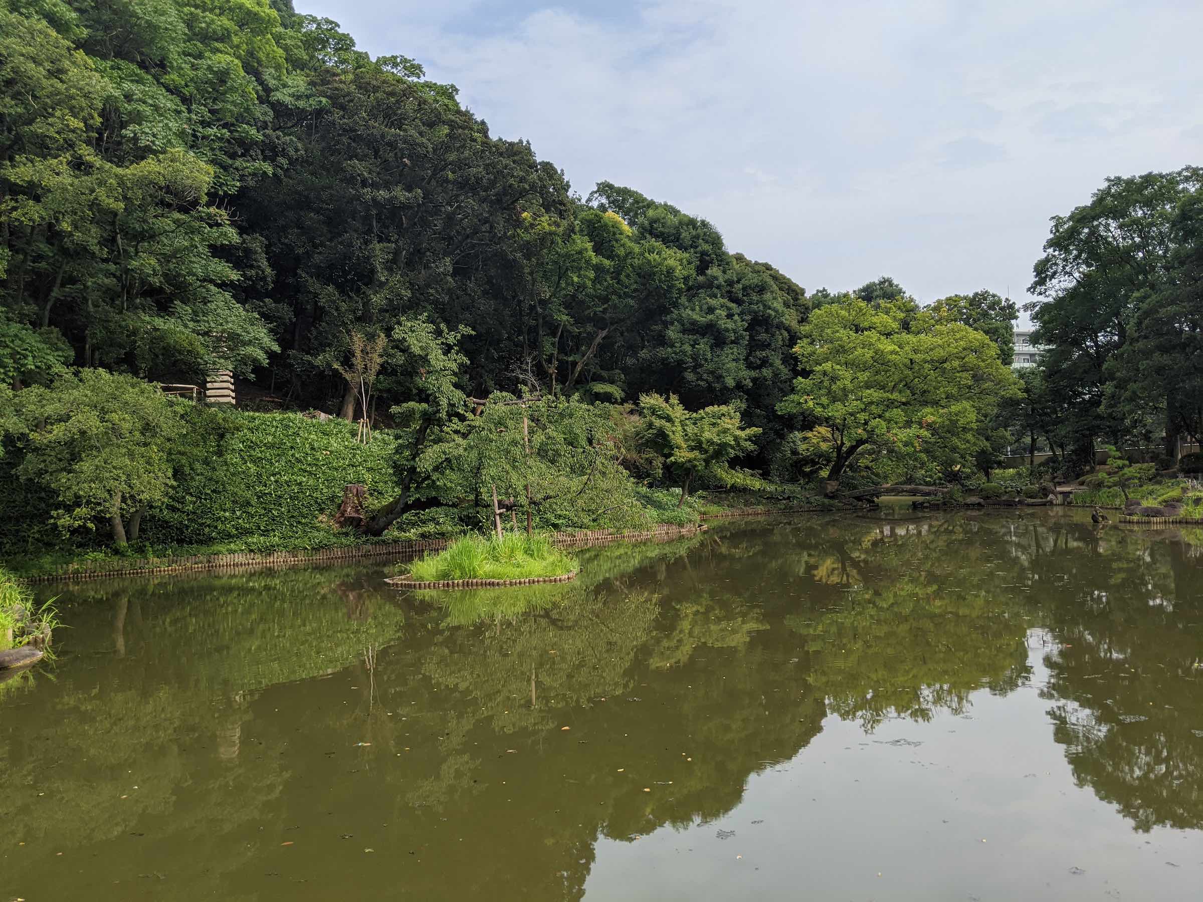 文京区肥後細川庭園に行ってきました！庭園散策