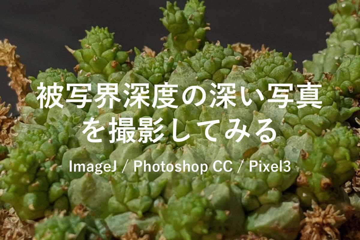 被写界深度の深い植物写真撮影tips 深度合成を試してみた ゆるぷ